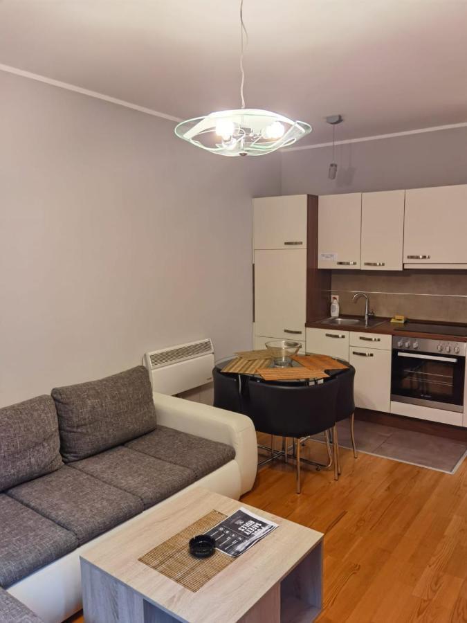 Apartments Foka & Spa - 600M From Gondola Ski Lift コパオニク エクステリア 写真