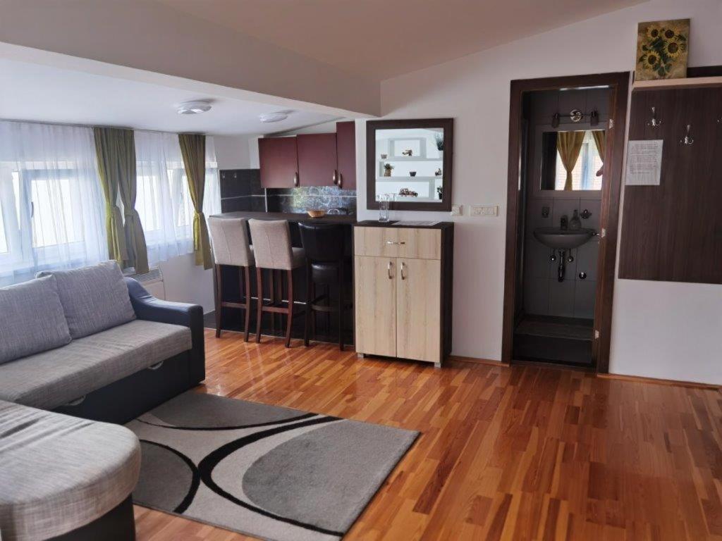 Apartments Foka & Spa - 600M From Gondola Ski Lift コパオニク エクステリア 写真