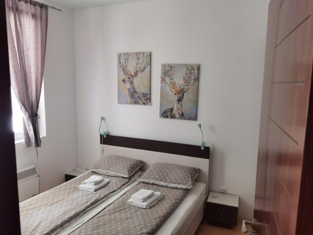 Apartments Foka & Spa - 600M From Gondola Ski Lift コパオニク エクステリア 写真